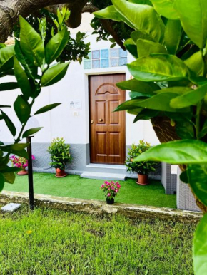B&B Paola City Paola